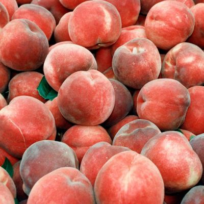 View full size image A pile of ripe peaches.