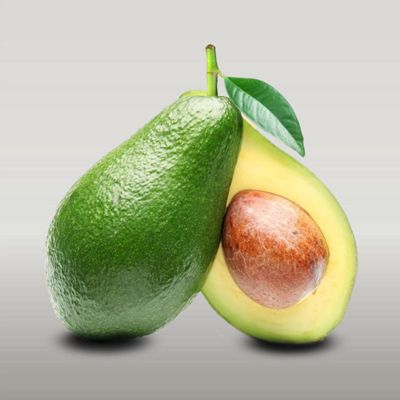 View full size image Photo of Holiday Avocado Tree