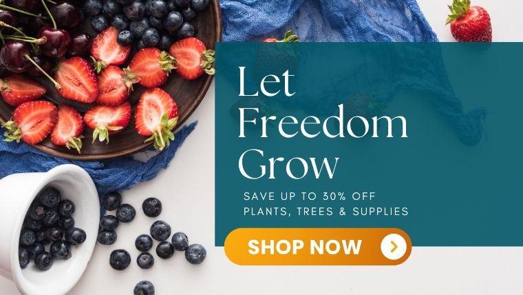Let Freedom Grow! Shop now and save up to 30% off.