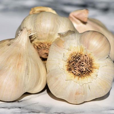 View full size image Photo of Romanian Red Certified Organic Garlic Bulbs
