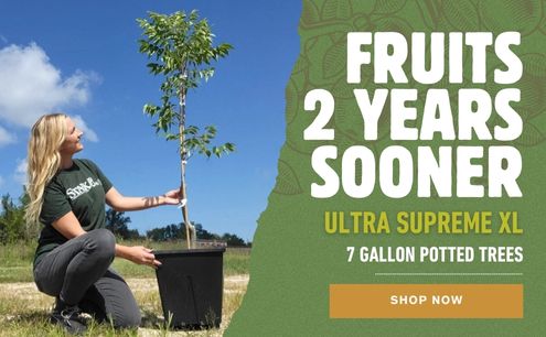 Get Fruit 2 Years Sooner!