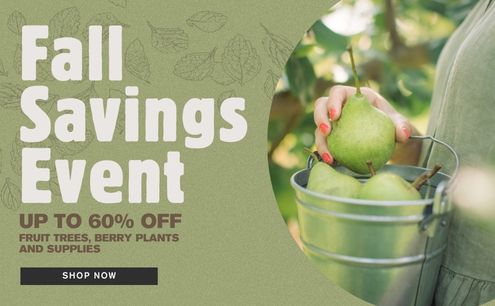 Shop the Fall Savings Event >