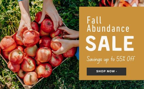 Shop Fall Savings