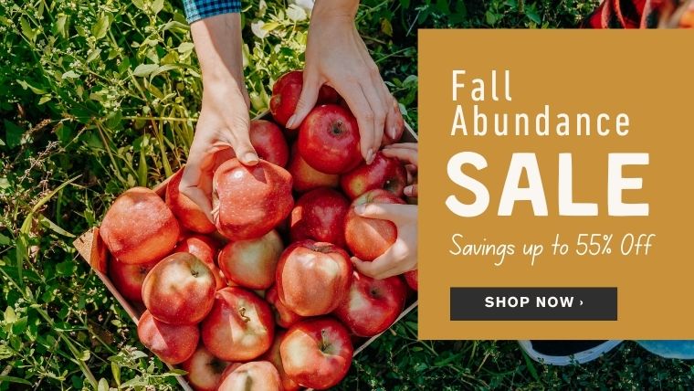 Shop Fall Savings