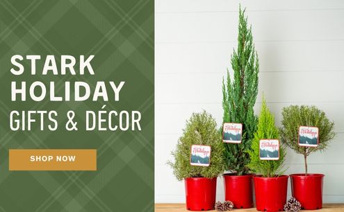 Shop Holiday Gifts and Decor