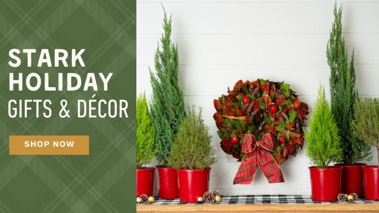 Shop Holiday Gifts and Decor