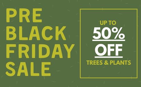 Shop Black Friday Savings!