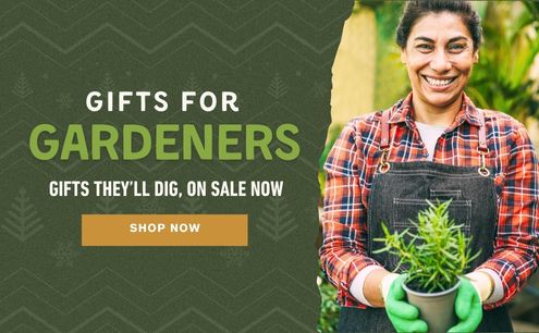 Gifts they'll dig - on sale now