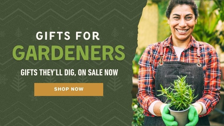 Gifts they'll dig - on sale now