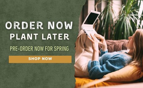 Pre-Order Now for Spring!