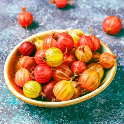 View full size image red gooseberries in bowl
