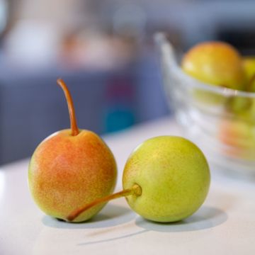 two pears on countertop