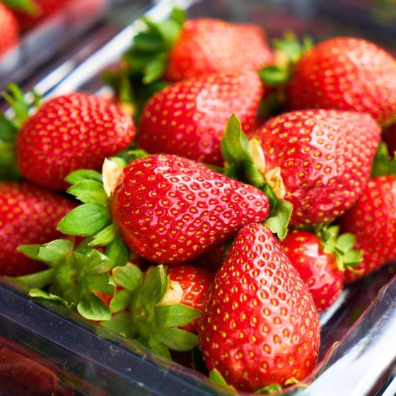 Red strawberries in container