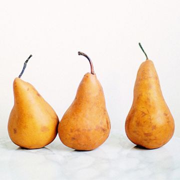 Brown pears on counter