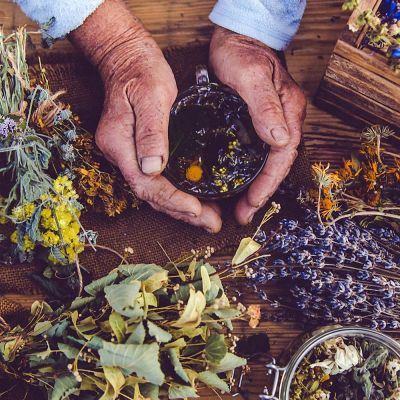 Photo of Advanced Apothecary Organic Herb Kit