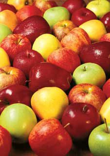 View full size image Photo of 4-N-1 Apple Tree