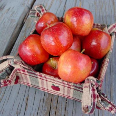 View full size image Photo of Whitney Crabapple Tree