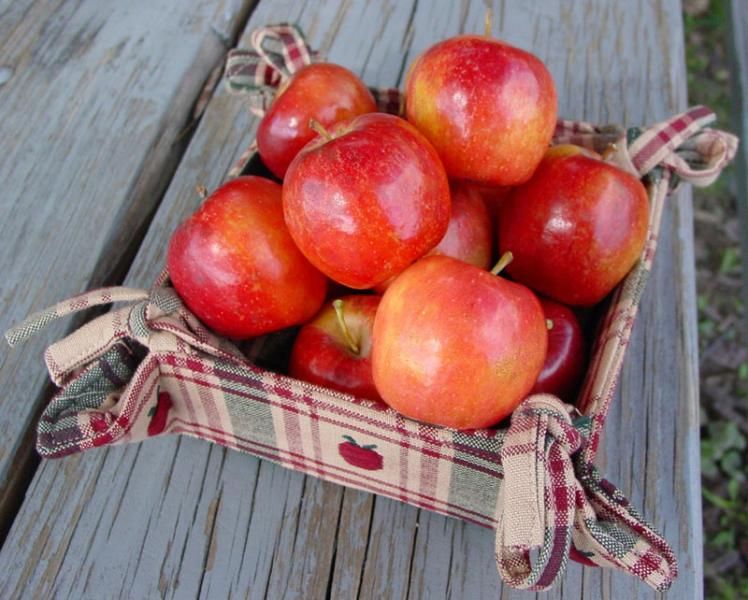 Organic Fresh crab apples- 5 lbs. Near me