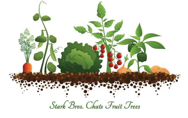 Gardenchat Q&A - Stark Bro's