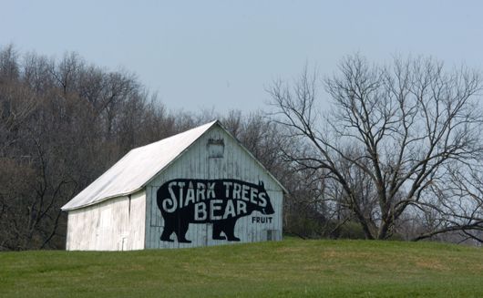 Stark bear barn in fall