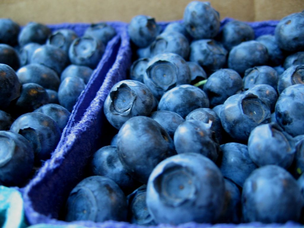 Waterdrop Tumbler Lid - Dark Berry