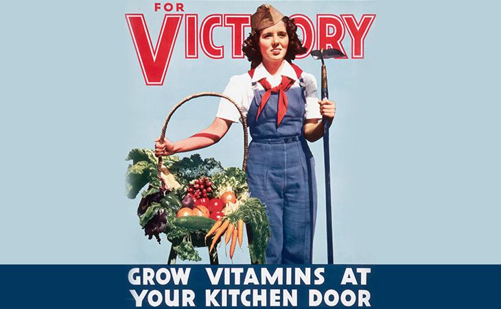 Victory Gardens