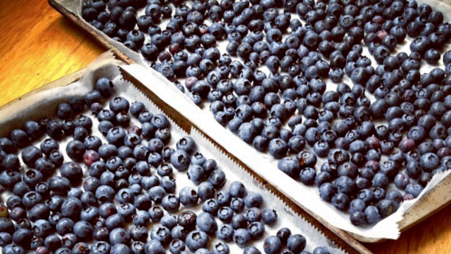 Blueberries on Cookie Sheets