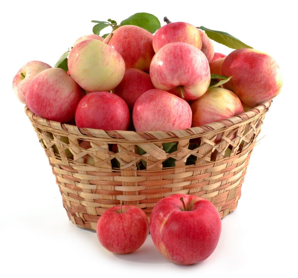 Basket of apples