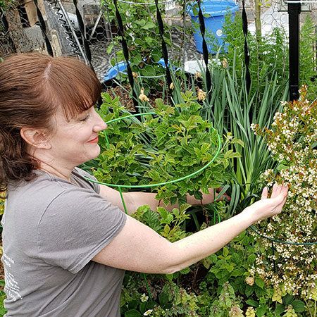 Choosing the right plants for Alabama.