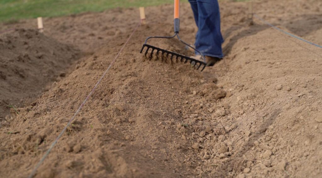 Shaping a raised garlic bed