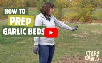 Preparing a garlic bed