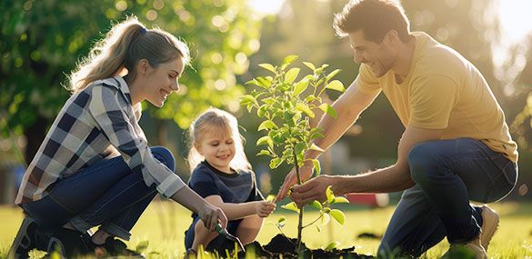 Family planting a fruit tree